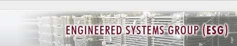 Engineered Systems Group (ESG)